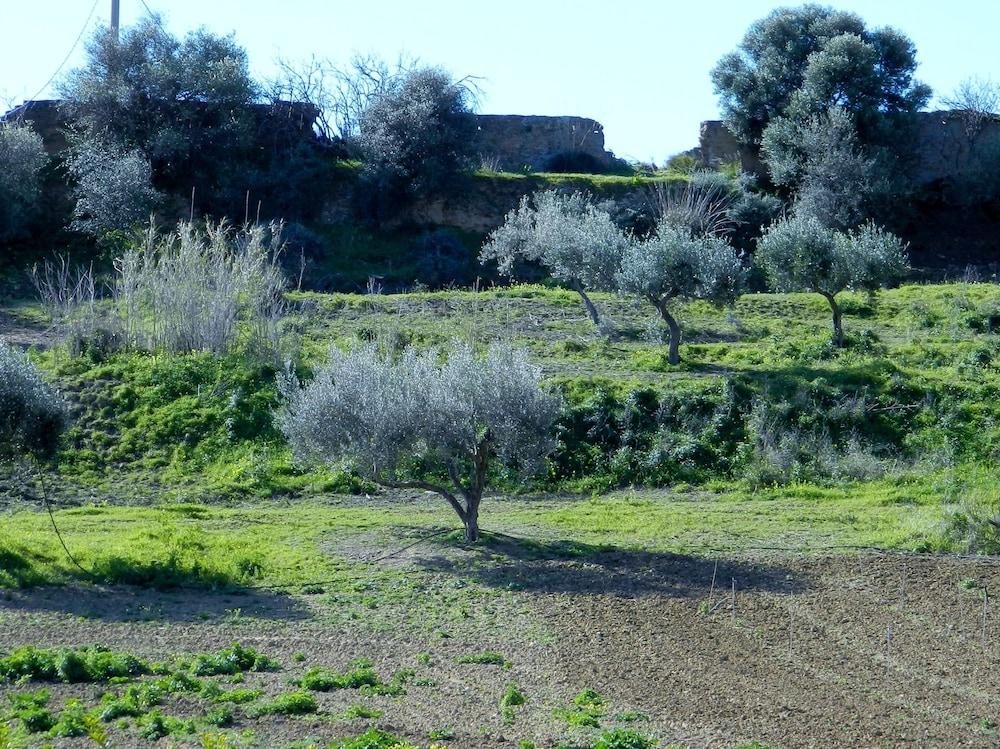Agriturismo Passo Dei Briganti 아그리젠토 외부 사진